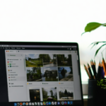 Global Contest Opportunities